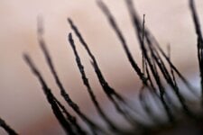 What’s in mascara and how does it work?