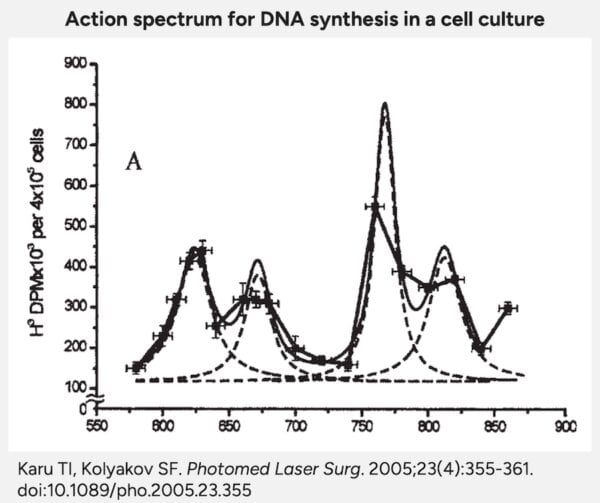 action spectrum
