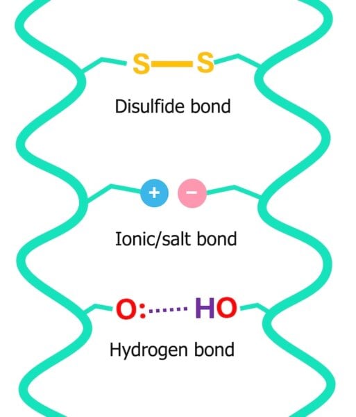 bonds 1