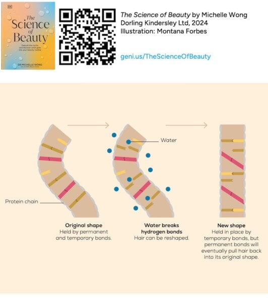 hair bonds science of beauty