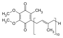 What Does Coenzyme Q10 (Ubiquinone) Do in Skincare?