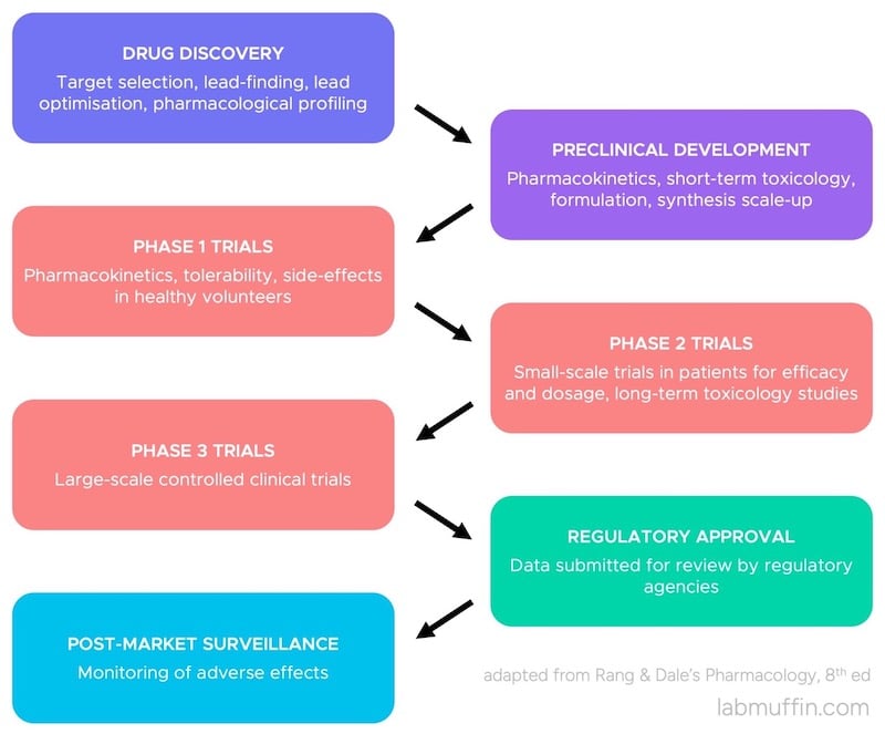 drug approval process 