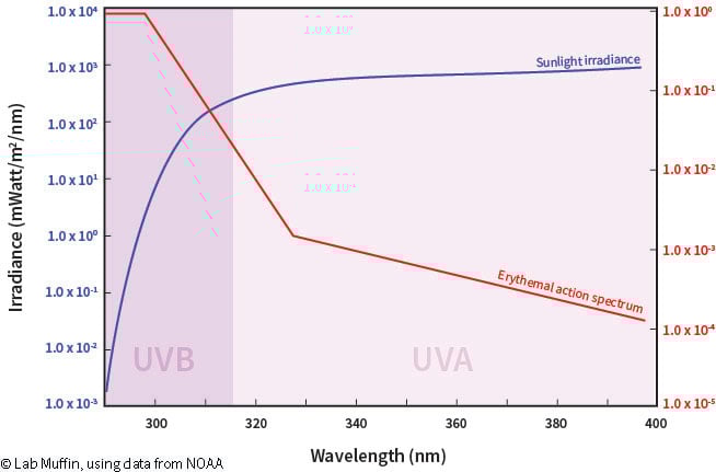 What Does SPF Mean? The Science of Sunscreen