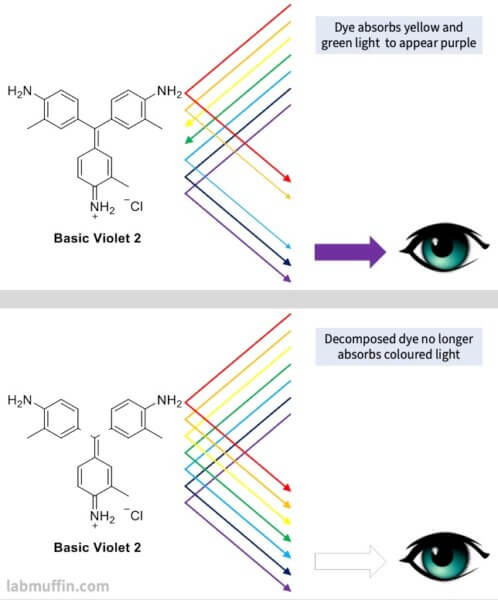 how bleach removes colour