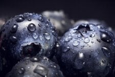 Skin Hydration vs Moisture: There Is No Difference