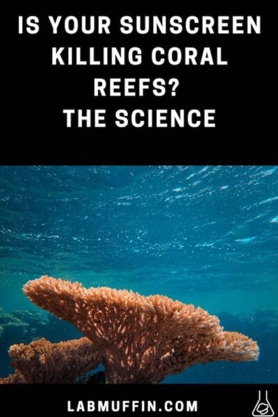 Is Your Sunscreen Killing Coral Reefs? The Science