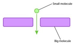 Skincare Layering: Not Actually About Molecular Size