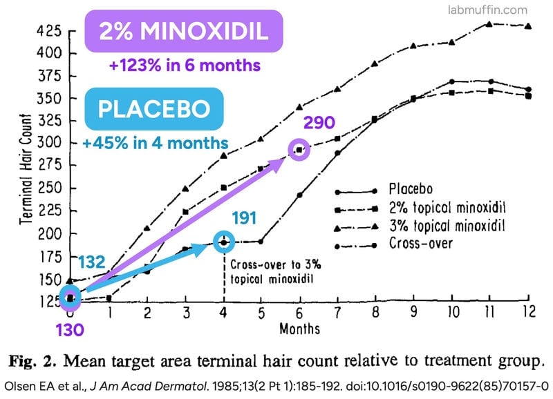 minoxidil placebo hair count changes