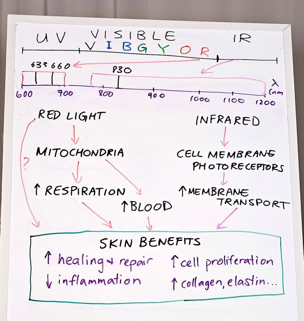 Red light mechanism flow chart